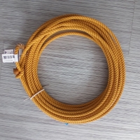 Synco Ranch Rope Poly 60' - Gold-10,25mm